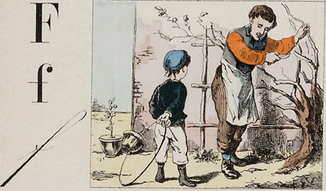 illustratie