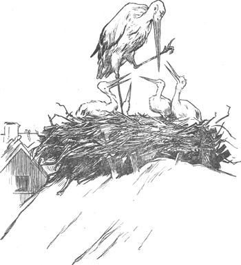illustratie