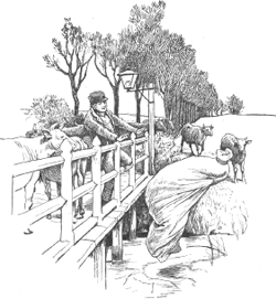 illustratie