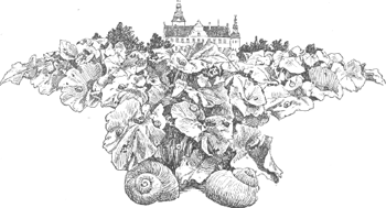 illustratie
