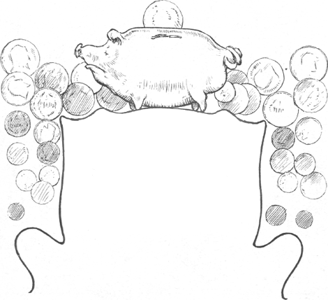 illustratie