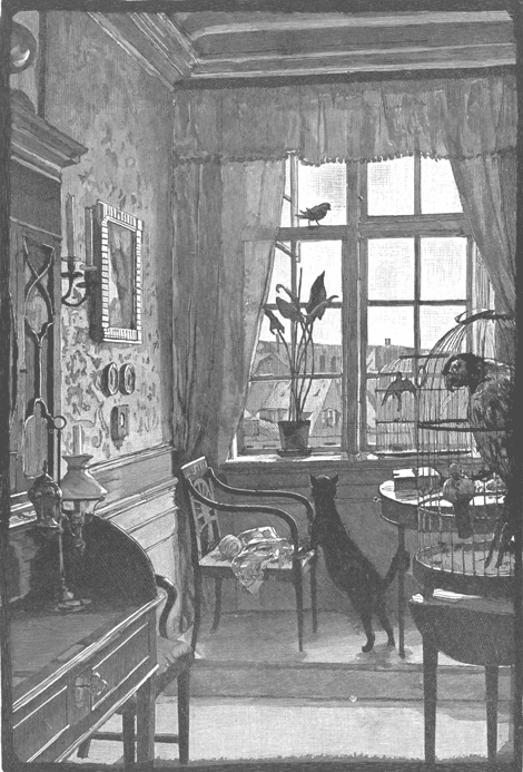 illustratie