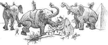 illustratie