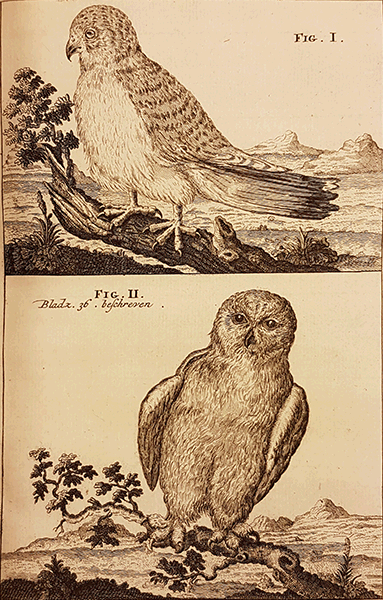 illustratie