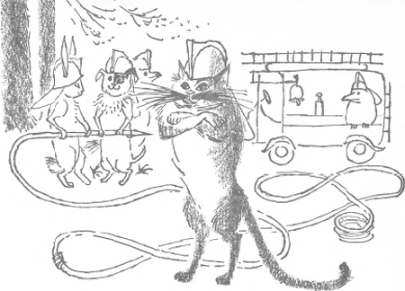 illustratie