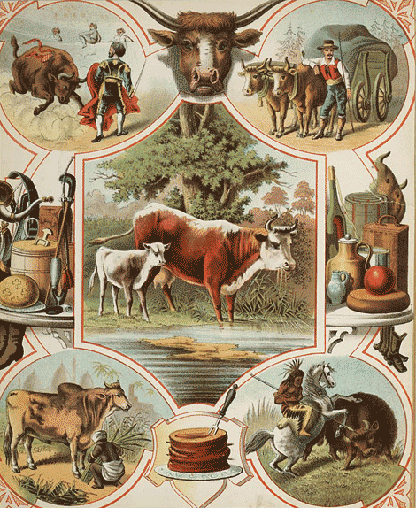 illustratie