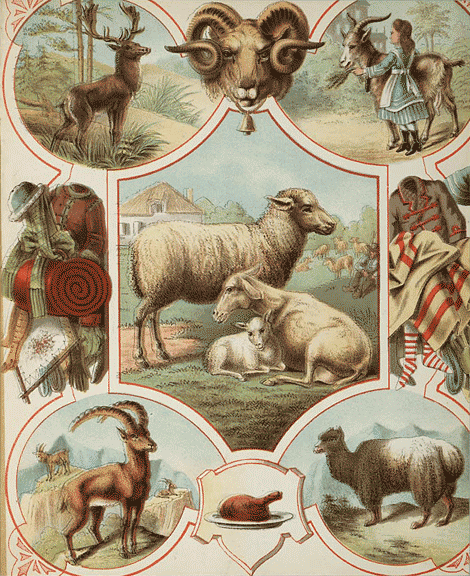 illustratie