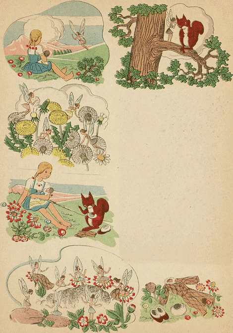 illustratie
