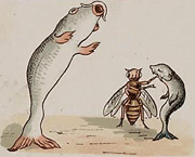 illustratie