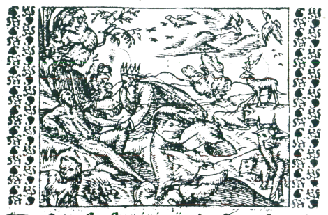 illustratie