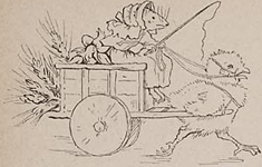 illustratie