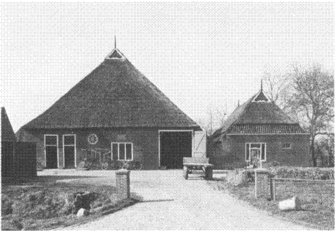 illustratie