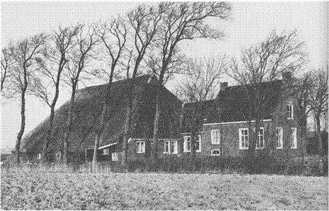 illustratie