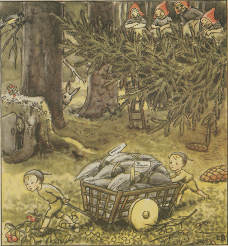 illustratie