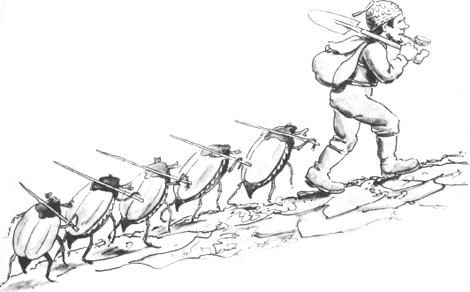 illustratie