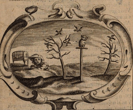 illustratie