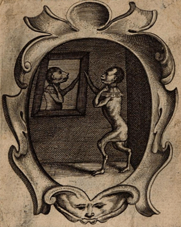 illustratie