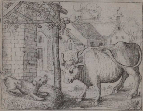 illustratie