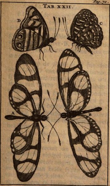 illustratie