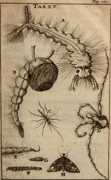 illustratie