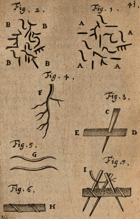 illustratie