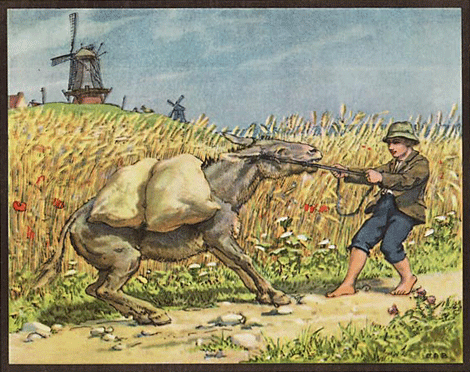 illustratie