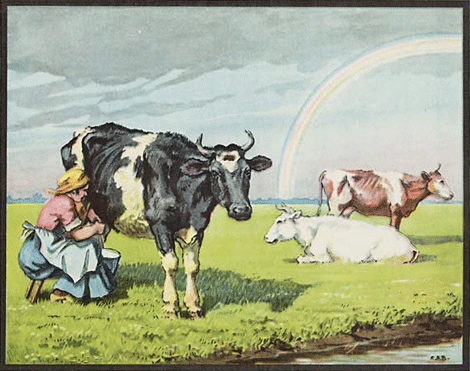 illustratie
