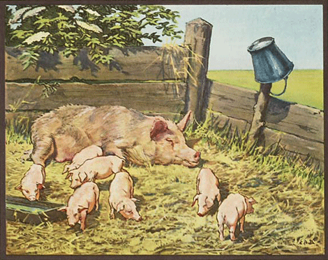 illustratie