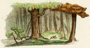 illustratie