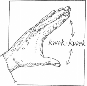 illustratie