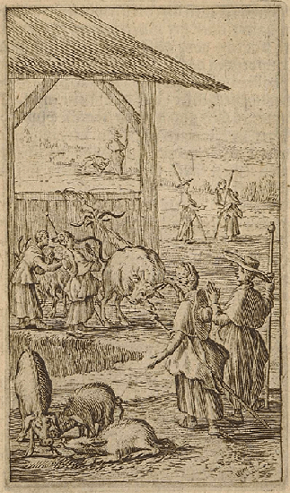 illustratie