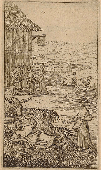 illustratie