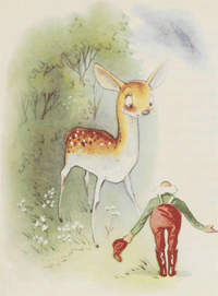 illustratie
