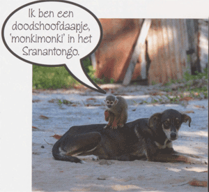 illustratie