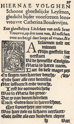 illustratie