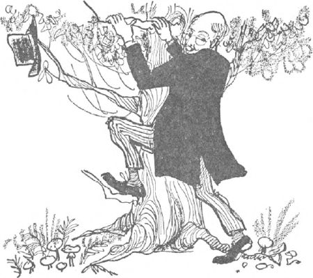 illustratie