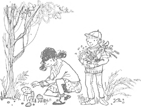illustratie
