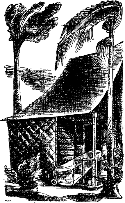 illustratie