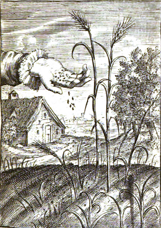 illustratie