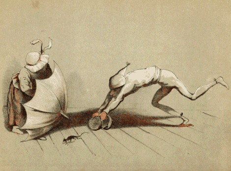 illustratie