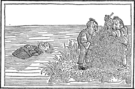 illustratie