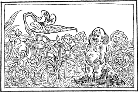 illustratie