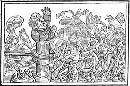 illustratie