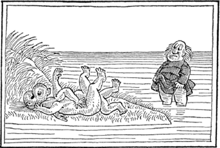 illustratie