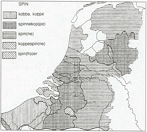 illustratie