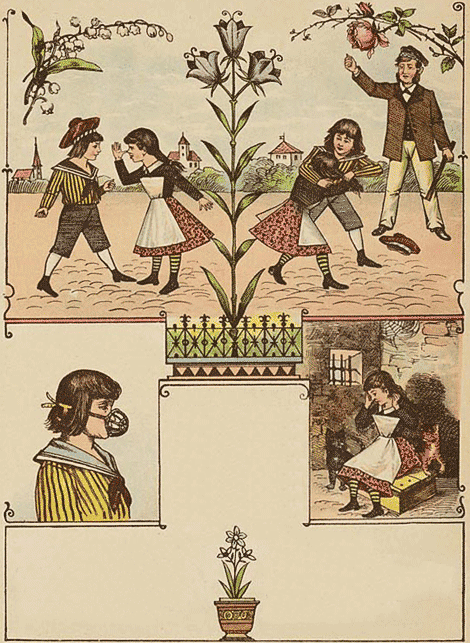 illustratie