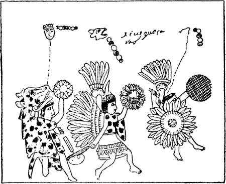 illustratie