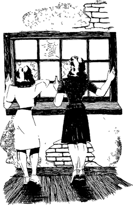 illustratie