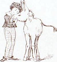 illustratie