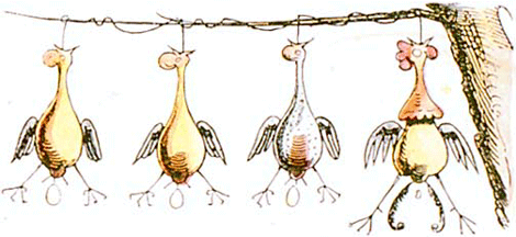 illustratie